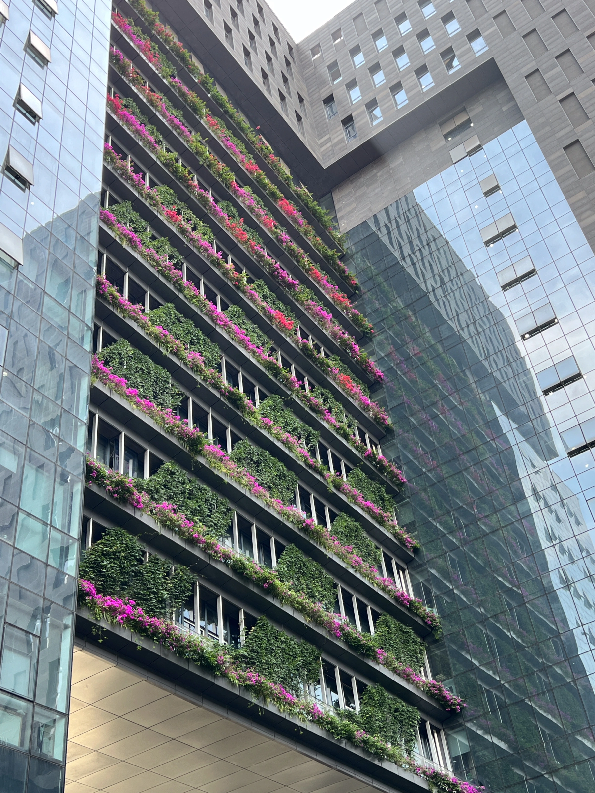 中建西南院第二办公区垂直绿化项目实景