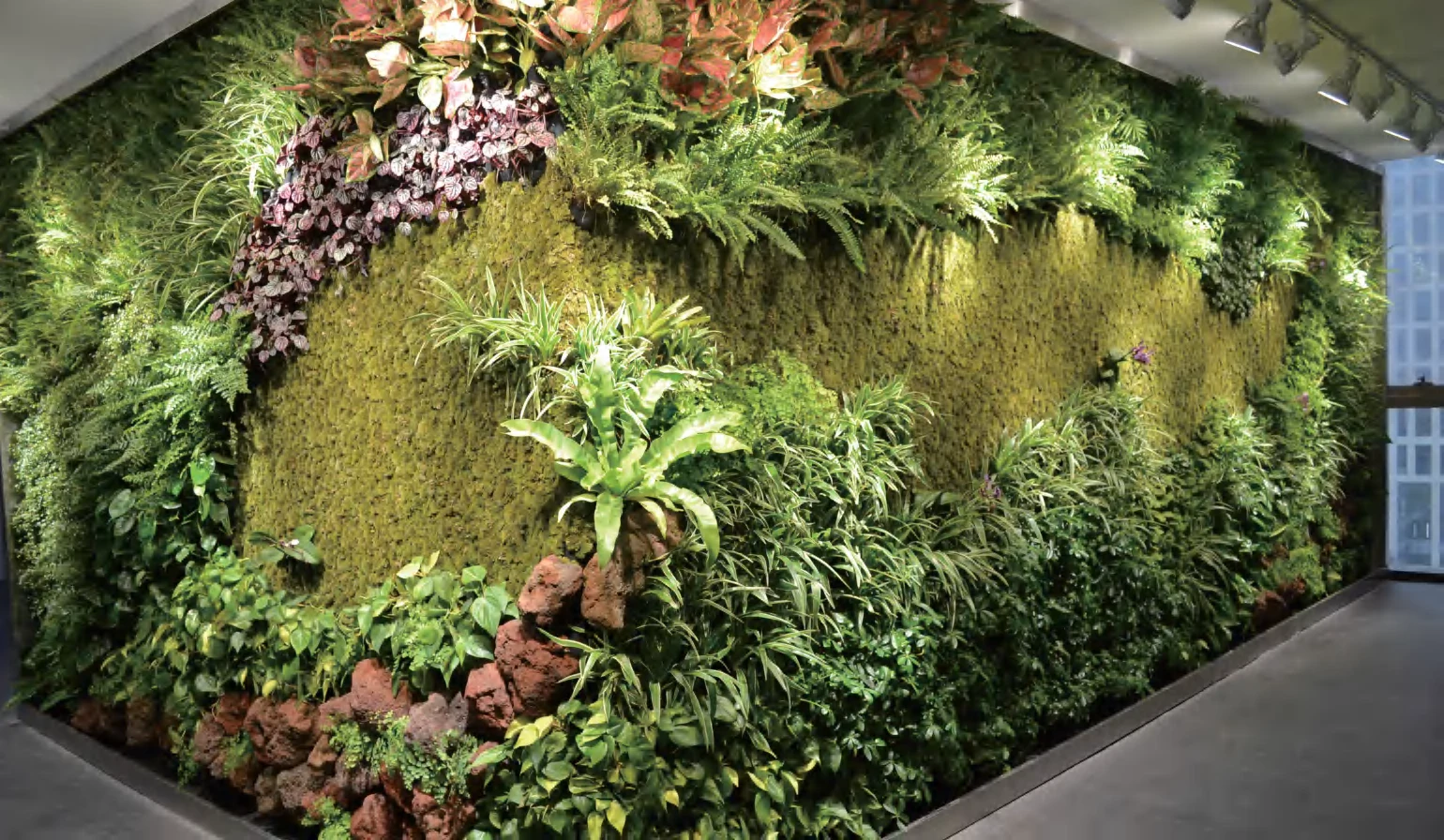 公司画册中的植物素材